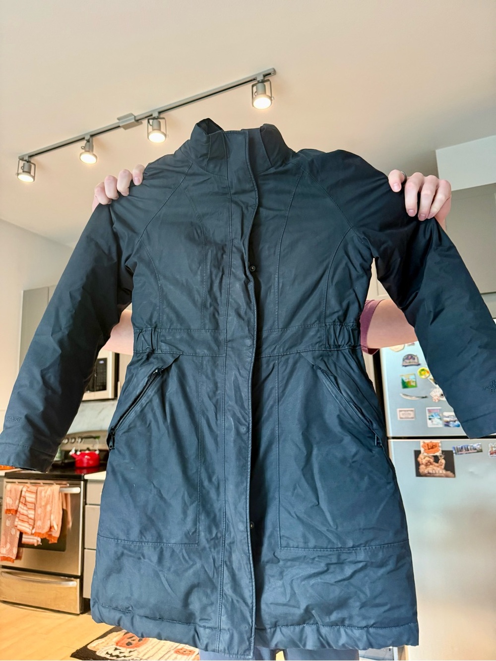 The North Face Women's Black Long Puffer Coat